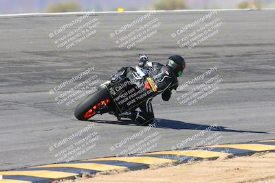 media/Feb-04-2024-SoCal Trackdays (Sun) [[91d6515b1d]]/4-Bowl Backside (11am)/